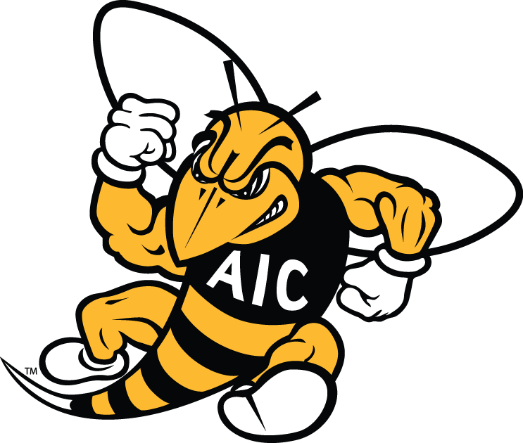 AIC Yellow Jackets 2009-Pres Secondary Logo iron on transfers for T-shirts